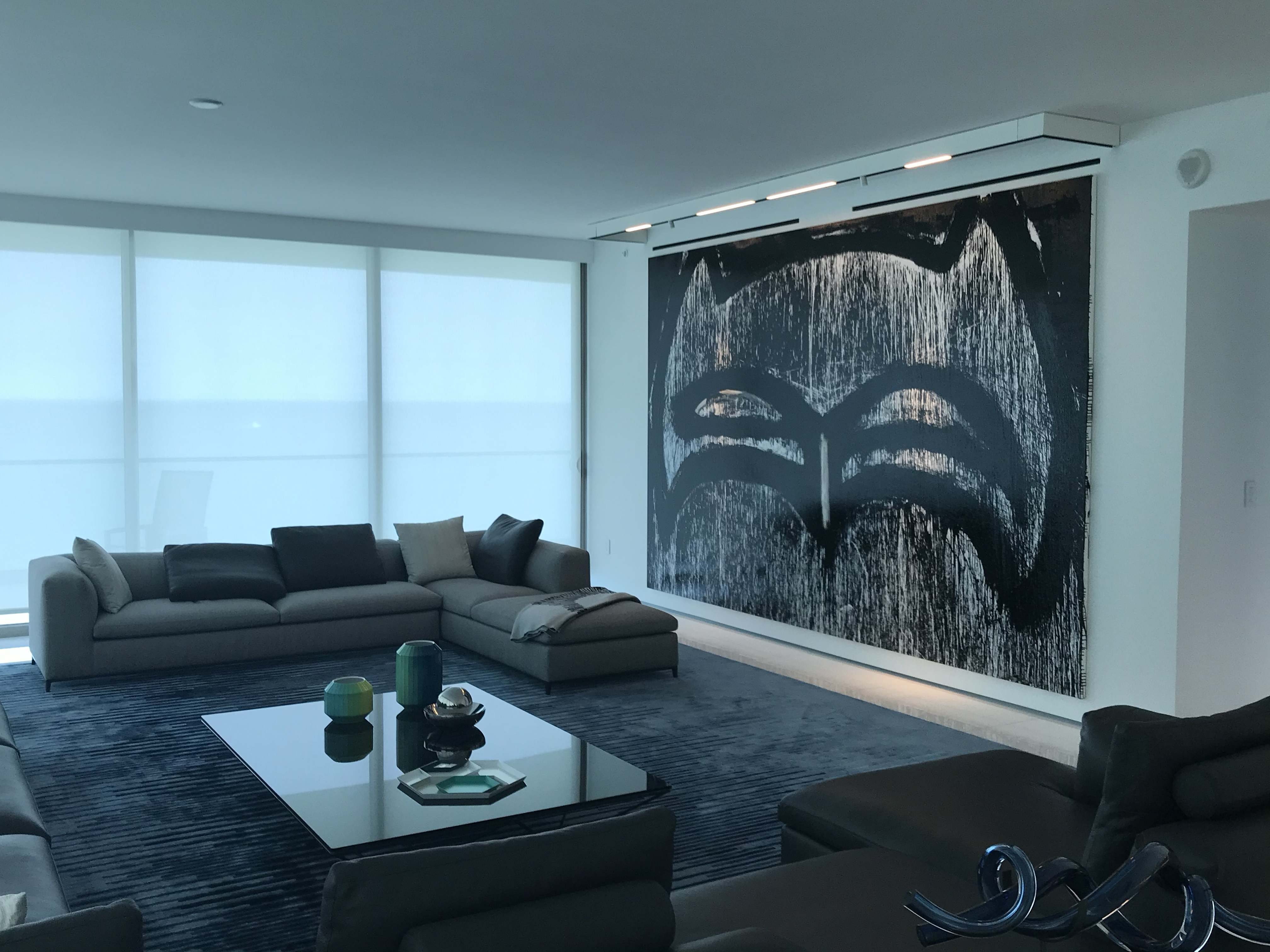 Motorized Shades 3